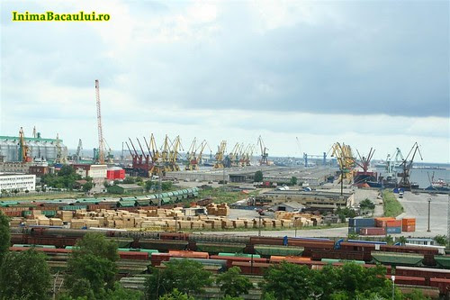 Constanta InimaBacaului (6)