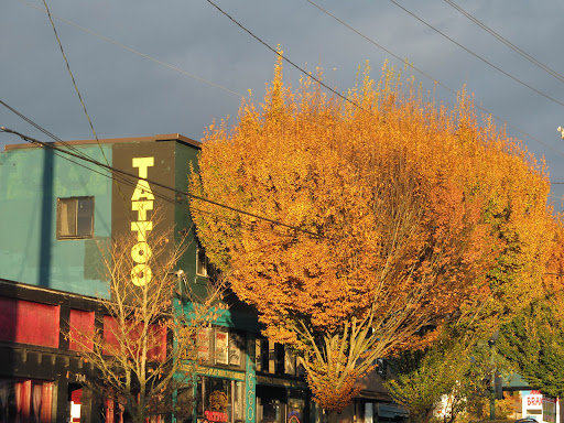 The Autumnal Reader Surge