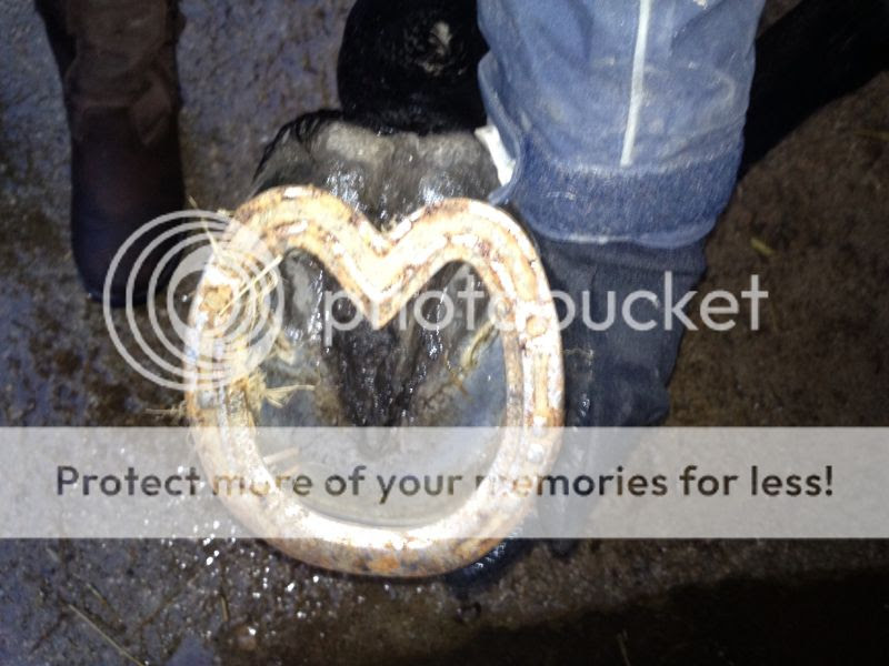 Photobucket Pictures, Images and Photos