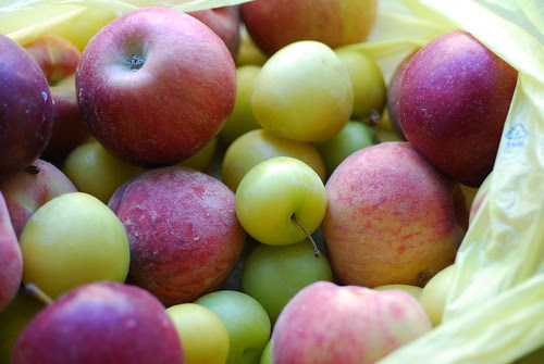 CSA Week 5-Fruit Share