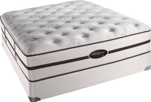 Simmons Beautyrest Elite Selkirk Plush Queen Mattress