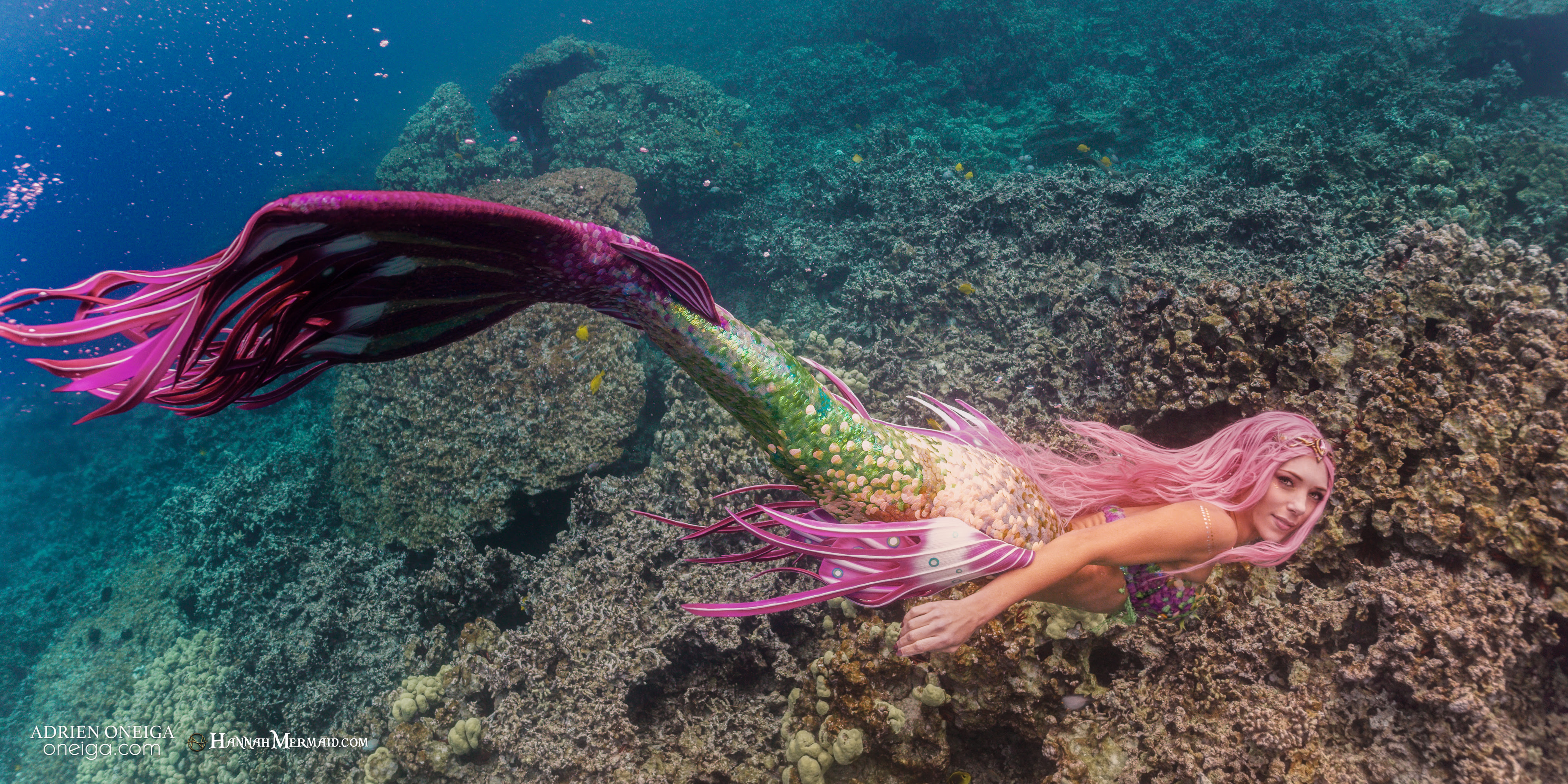 Mermaids Are Saving Our Oceans - Mermaids of Earth