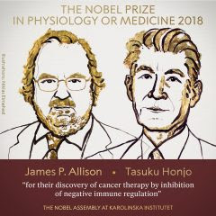 18年ノーベル生理学医学賞は本庶佑博士とjames Allison博士が受賞 日本の科学と技術日本の科学と技術
