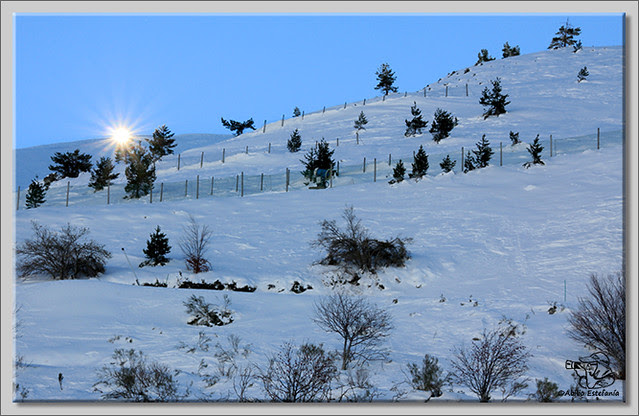 8 Deslizadose por la nieve