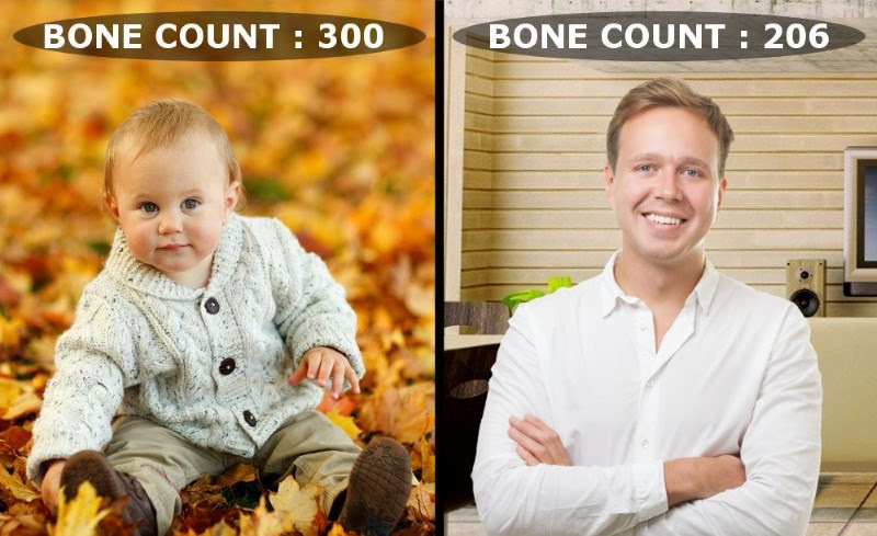 الأطفال لديهم عظام أكثر من الكبار