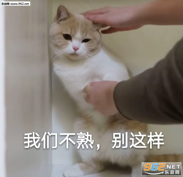别怪我没给你机会牵我手哦图片 和集美网上冲浪表情包下载 乐游网手机下载站