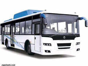 Jan Bus Jan Bus