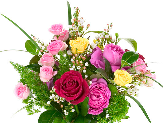 Pictures Of All Flowers - Suck Dick Videos