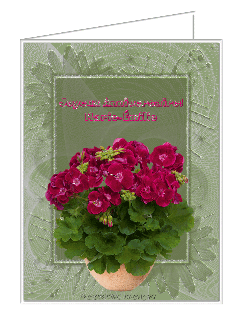 Mes Cartes Anniversaires