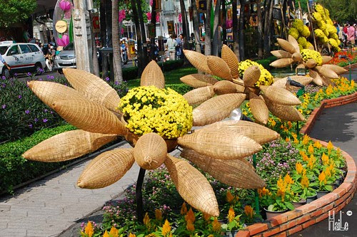 DuonghoaNgHue2014-07