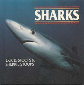 Kids Shark Book Reviews