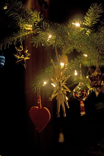 ornaments on the tree