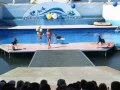 Видео Севастопольский дельфинарий в Артбухте (морск. котики)