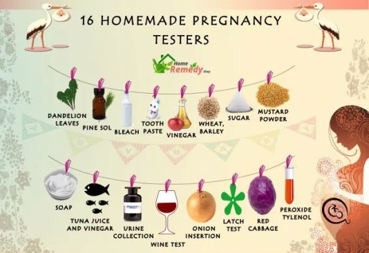 16 Homemade Pregnancy Test