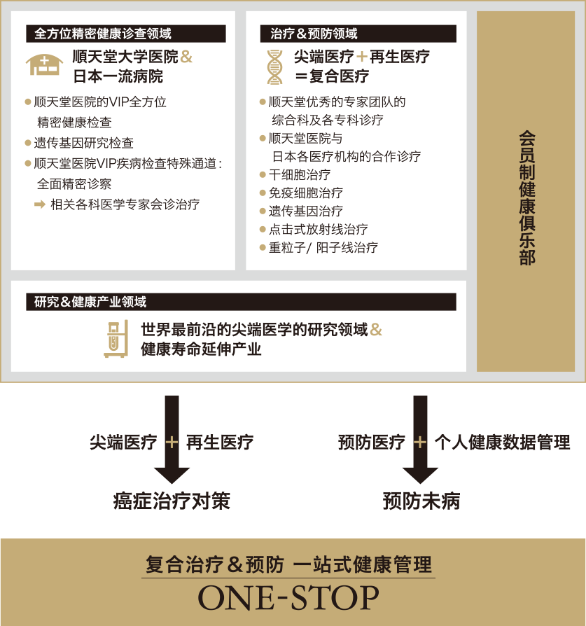 事业概要 International Medical Trust Inc