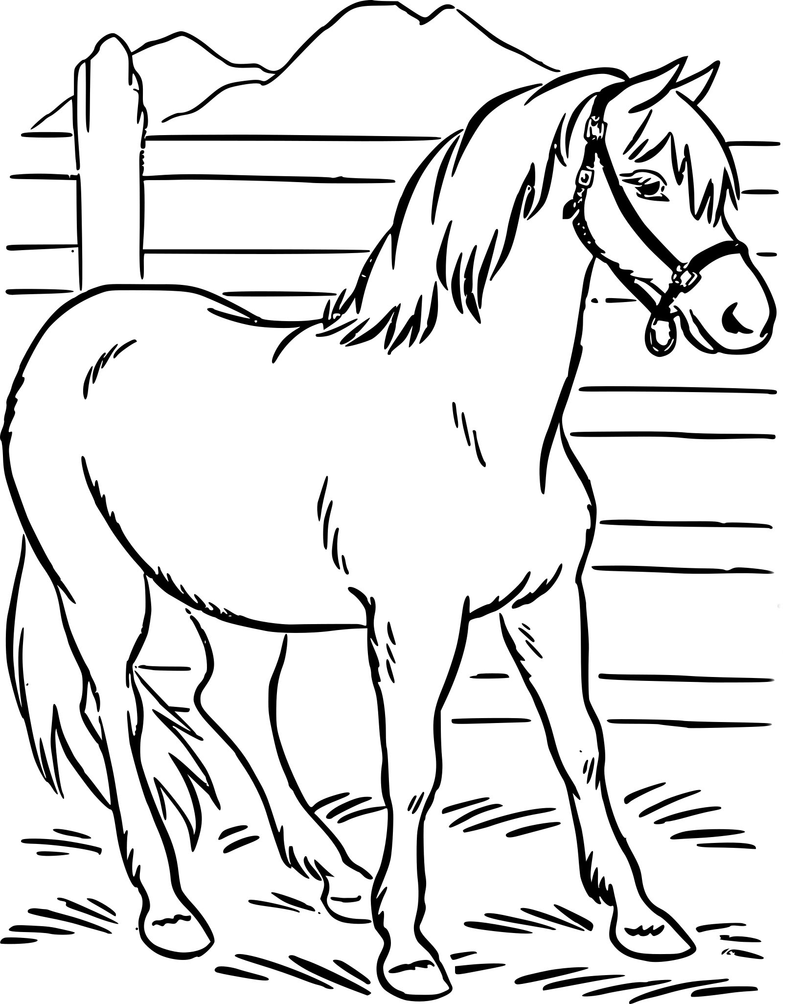 Coloriage cheval imprimer Coloriage cheval imprimer