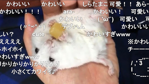 イメージ