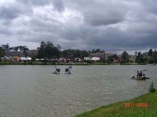 dalathoathao_viet89