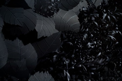 Black Mirrors