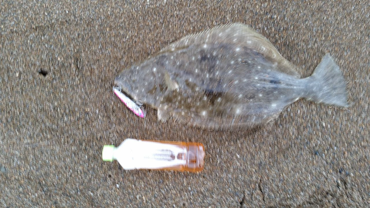釣行記 サーフからぶっ飛び君95sでヒラメget The Firstone
