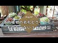 [最も好ましい] 植物 名前札 183693