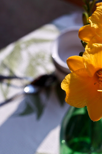 daylilies