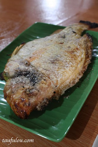 Vegie Fish Farm (12)