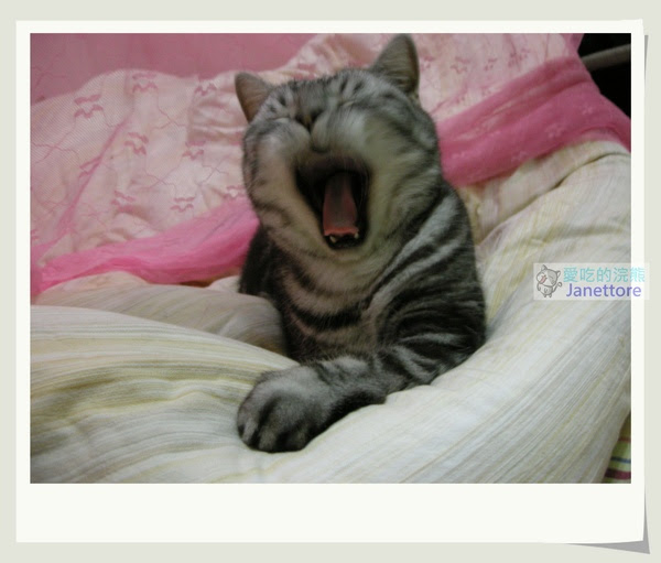 DSCN8577.jpg