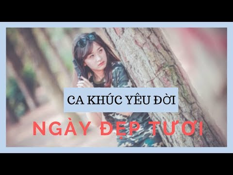 Công ty may áo thun đồng phục rằn ri đẹp vải 4 chiều Quận Tân Phú