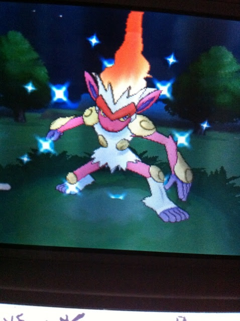 色違いに釘付け