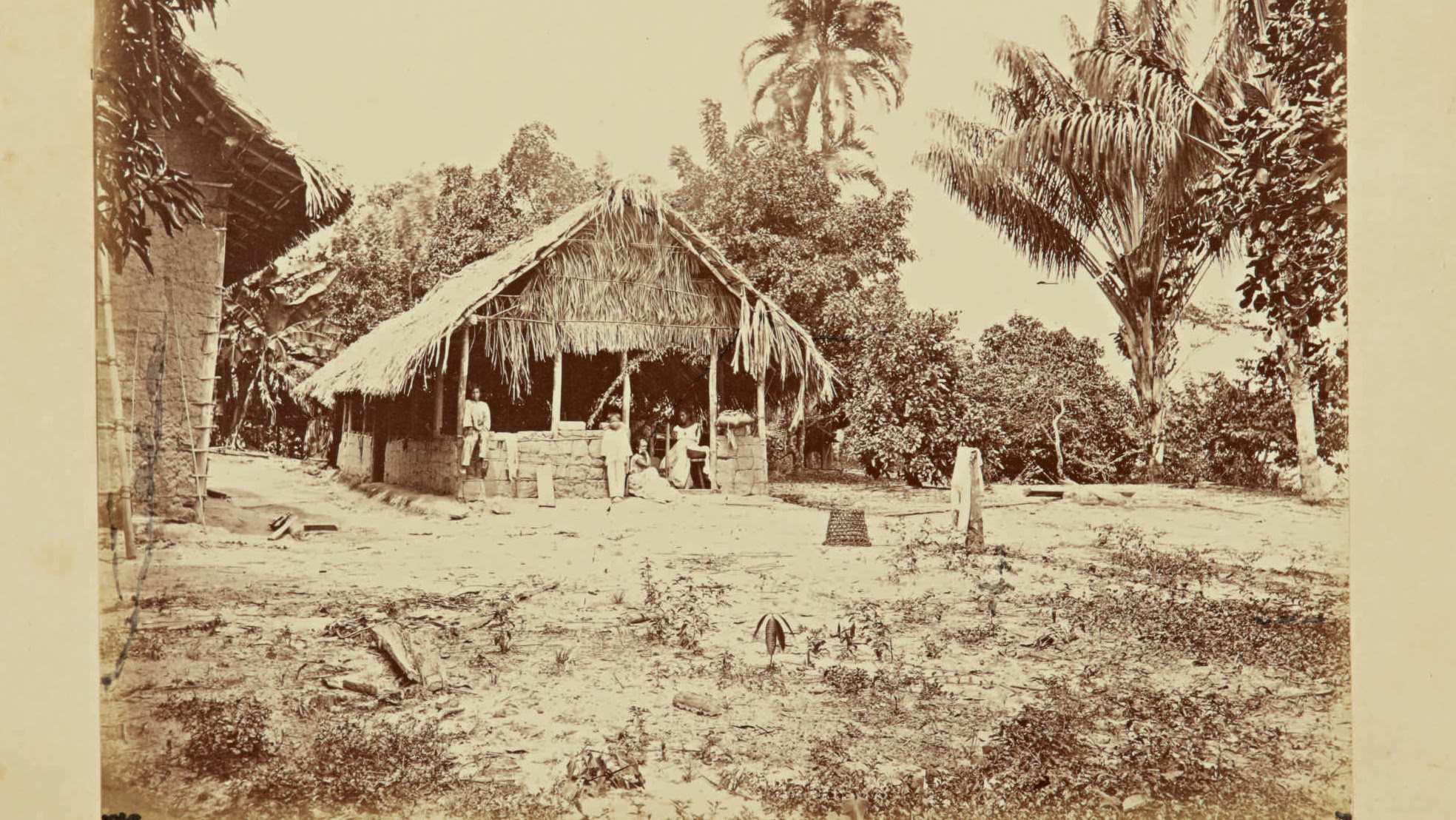 Rare Amazon Rainforest Photos Show Pristine Beauty In The 19th Century Cnn Style