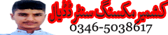 Website counter