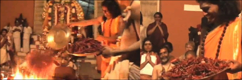 Some like it spicy. Nithyananda is known to offer chilies, human hair, and marijuana seeds in his midnight fire rituals.