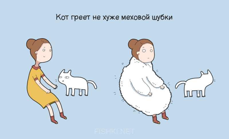 10 причин завести кота животные, кот