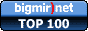 bigmir)net TOP 100