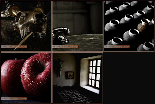 winners still life (by ilocandiaphotographic)