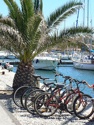 vélos de Porquerolles.jpg