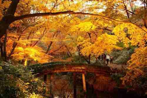 Rikugien Garden, Ιαπωνία Rikugien Garden, Ιαπωνία