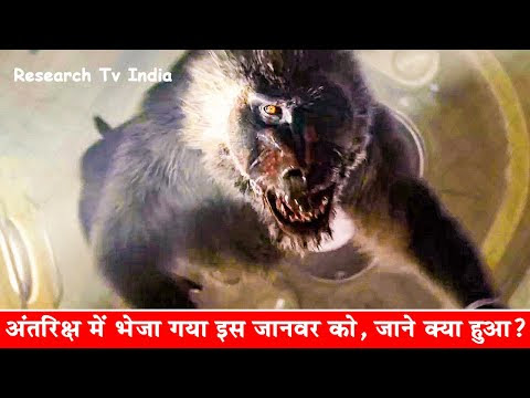 चित्र