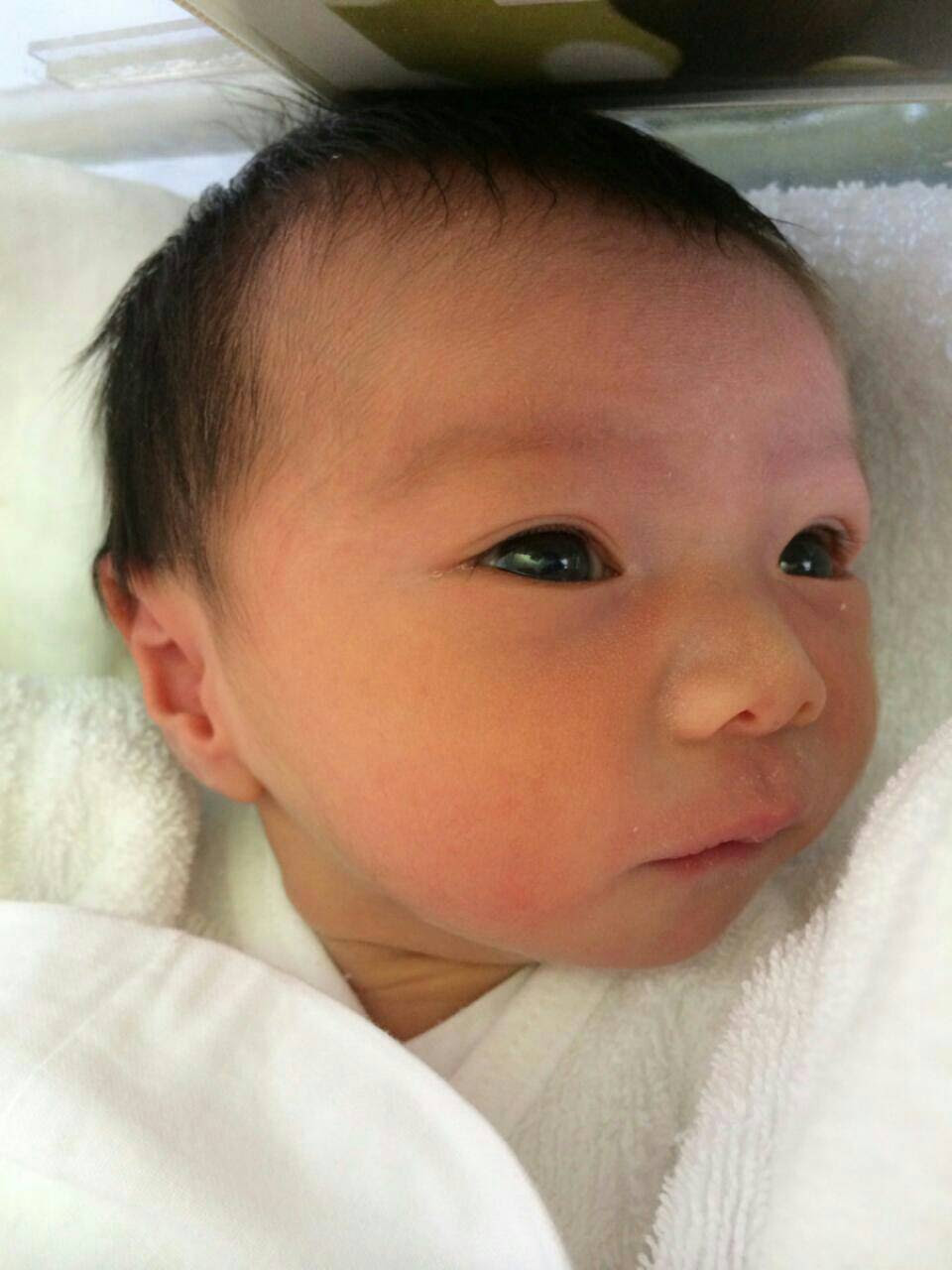 赤ちゃんが産まれた モンスタードロップスのブログ