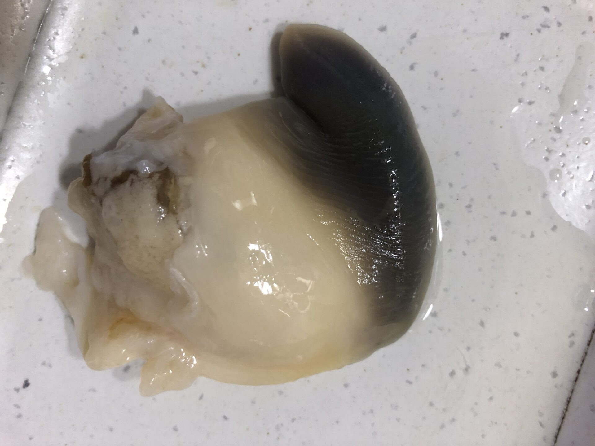 ホッキ貝のお刺身 美味い たった一手間でホッキ貝を美味しくする男飯レシピ Sup マニア
