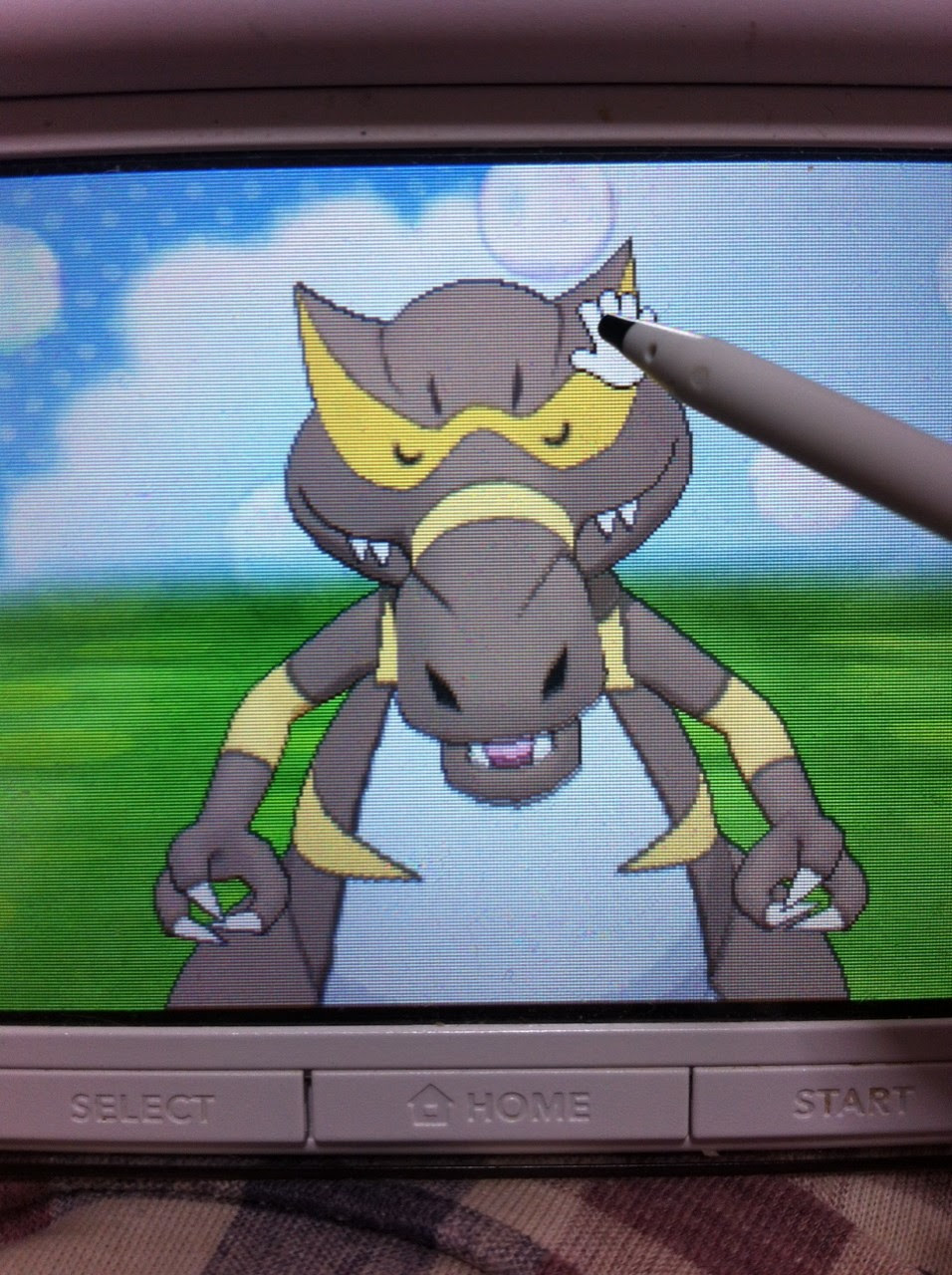 色違いに釘付け ワルビアル Xy おまけ