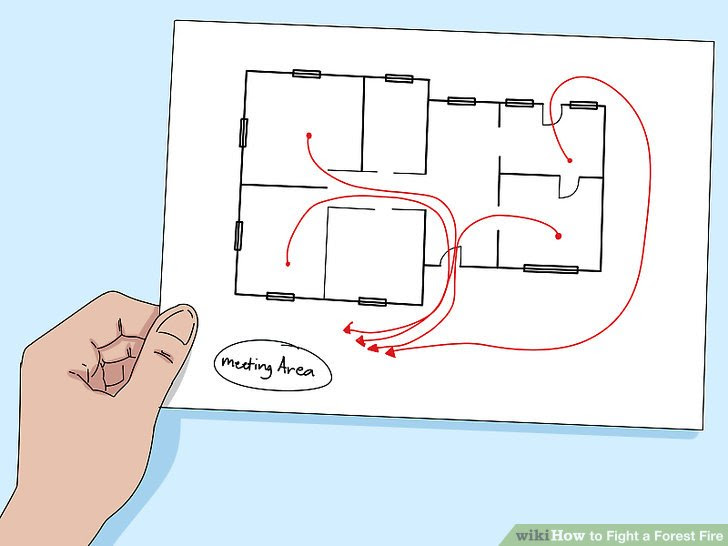 Fight a Forest Fire Step 11.jpg