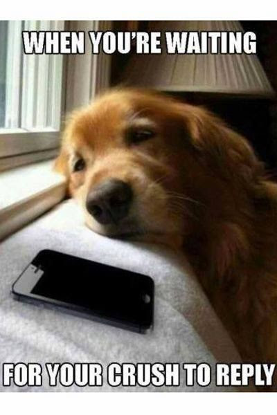 When You're Waiting For Your Crush To Reply Pictures 