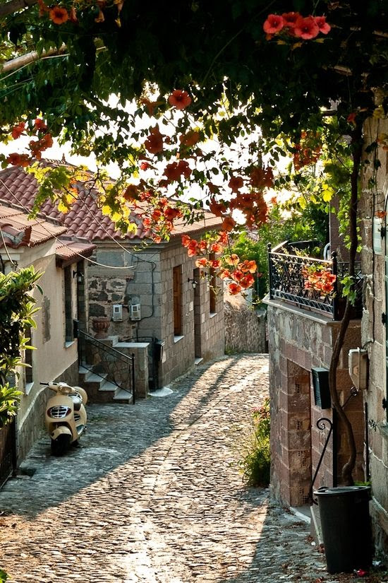 .Lesbos Island, Greece .