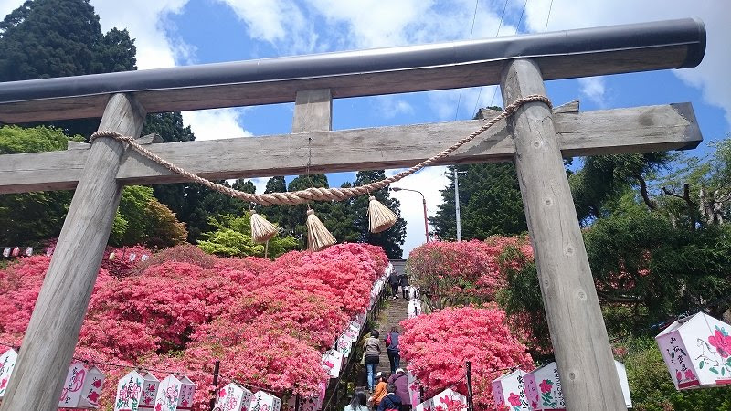 満開 天王つつじまつり 15 七戸城址を散策 七戸 Cr Xとの生活
