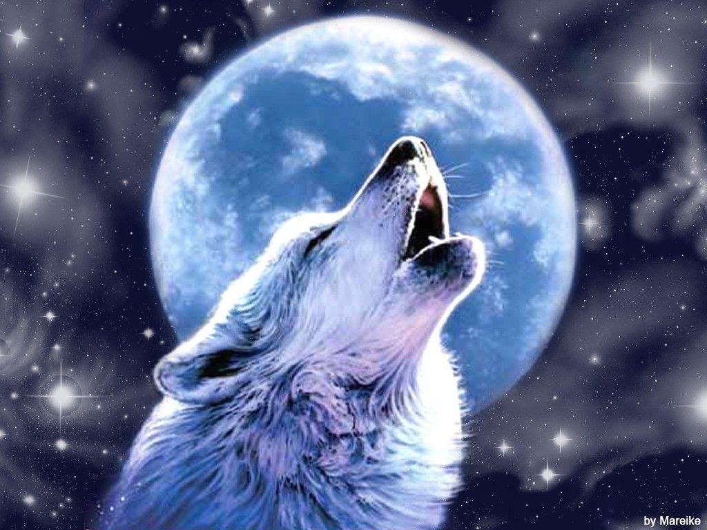 Wolf Howling Wallpapers - Wallpaper Cave