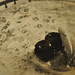 Fruit Bowl, Table, Two Chairs, Columbia, Maryland