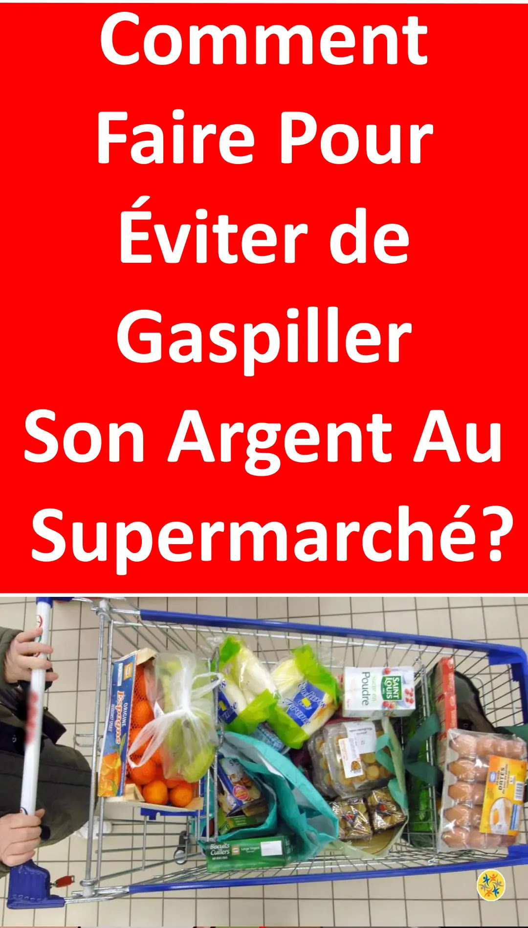 Solutions économiques pour faire les courses