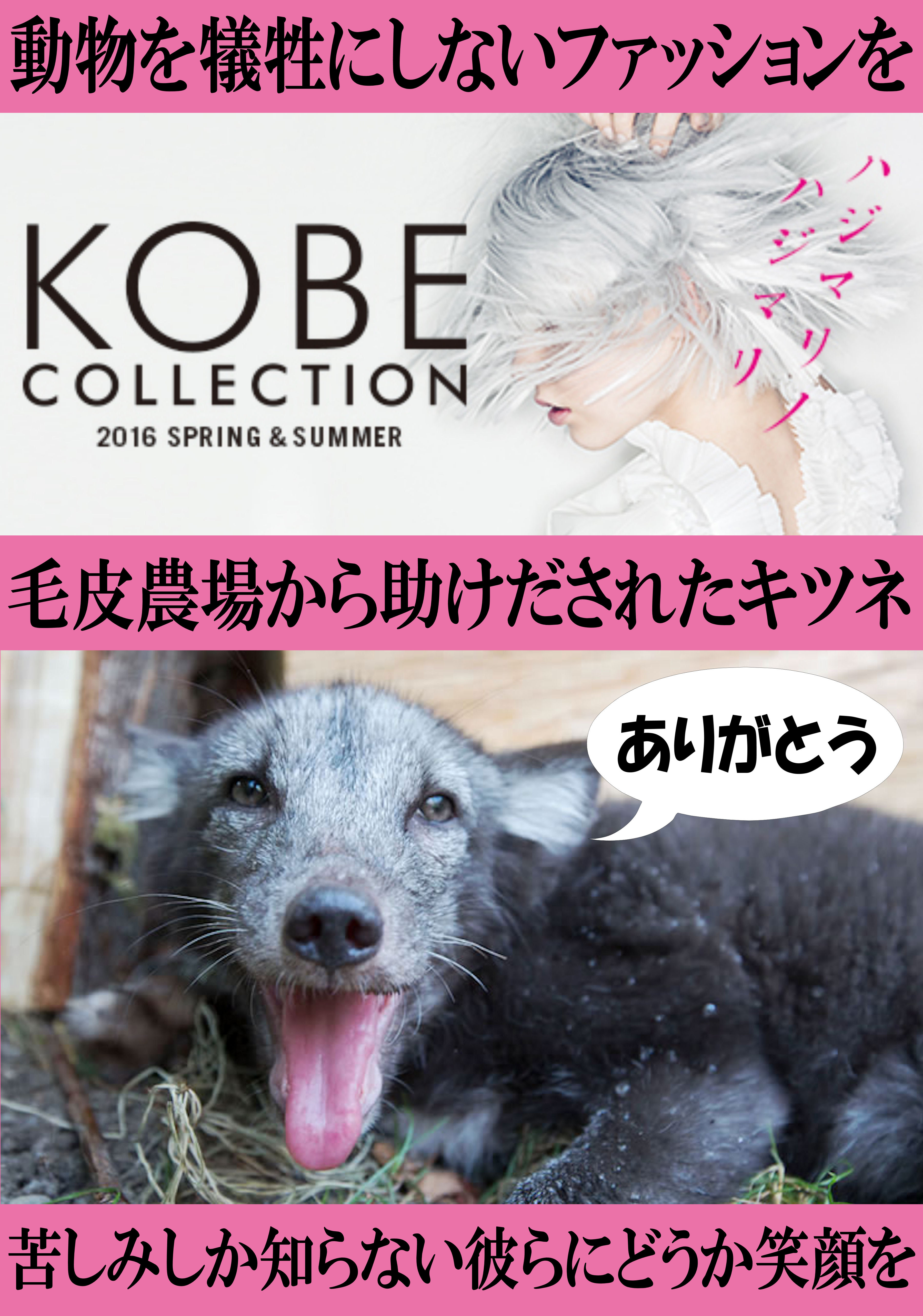 16 3 12 16ss 神戸コレクション活動レポ 動物を犠牲にしないファッションをこれからの主流に 日本初のveganファッションショー 動物虐待反対街頭活動